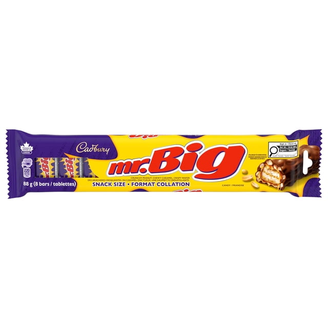 Cadbury Mr. Big Snack Size Chocolate Bars 88g