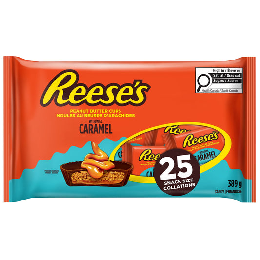 25ct Reese's Peanut Butter Cups With Caramel Snack Size 389g 25 Count
