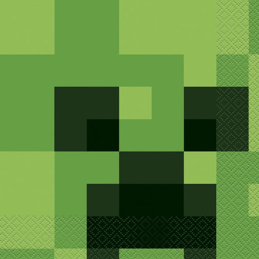 Minecraft Party 2-Ply Lunch Napkins, 60 g, 16 Count