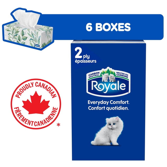Royale Everyday Comfort 2-Ply Facial Tissues, 1220 g, 6 Count