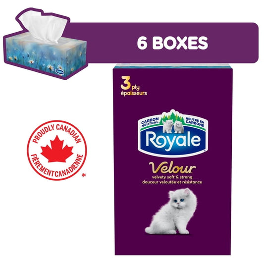 Royale Velour 3-Ply Facial Tissues, 930 g, 6 Count